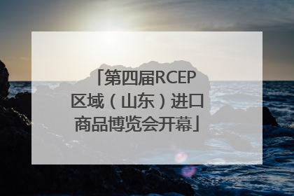 第四届RCEP区域（山东）进口商品博览会开幕