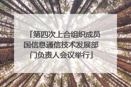 第四次上合组织成员国信息通信技术发展部门负责人会议举行