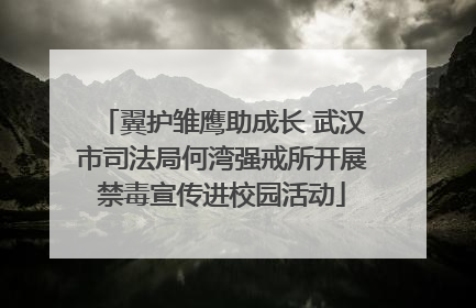 翼护雏鹰助成长 武汉市司法局何湾强戒所开展禁毒宣传进校园活动
