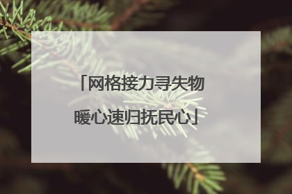 网格接力寻失物 暖心速归抚民心