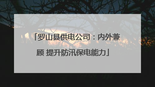 罗山县供电公司：内外兼顾 提升防汛保电能力
