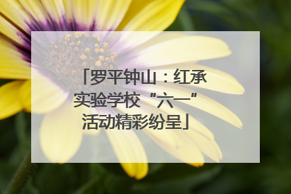 罗平钟山：红承实验学校“六一”活动精彩纷呈