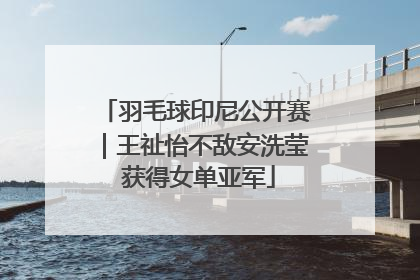 羽毛球印尼公开赛｜王祉怡不敌安洗莹 获得女单亚军
