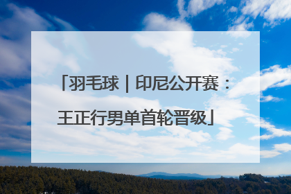 羽毛球｜印尼公开赛：王正行男单首轮晋级
