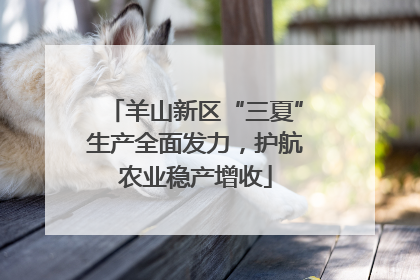 羊山新区“三夏”生产全面发力，护航农业稳产增收