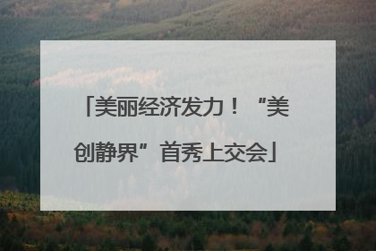 美丽经济发力！“美创静界”首秀上交会