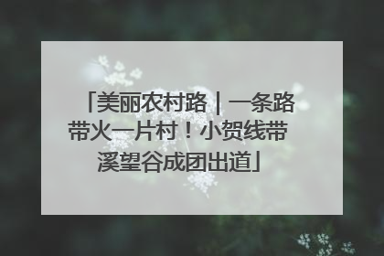 美丽农村路｜一条路带火一片村！小贺线带溪望谷成团出道
