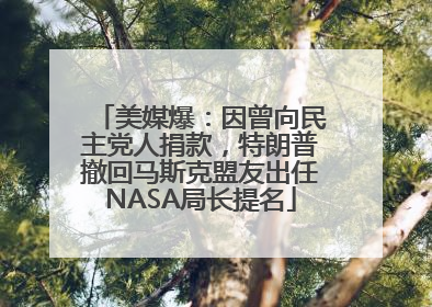 美媒爆：因曾向民主党人捐款，特朗普撤回马斯克盟友出任NASA局长提名