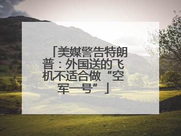 美媒警告特朗普：外国送的飞机不适合做“空军一号”