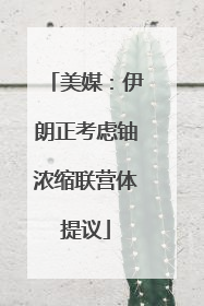 美媒：伊朗正考虑铀浓缩联营体提议