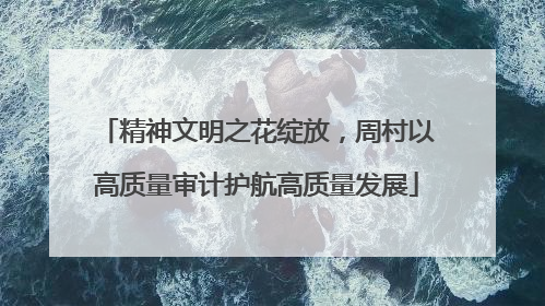 精神文明之花绽放，周村以高质量审计护航高质量发展