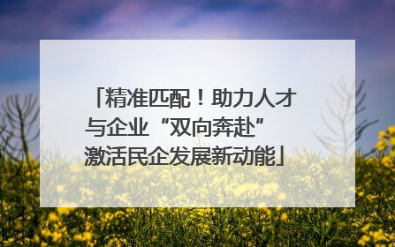 精准匹配！助力人才与企业“双向奔赴” 激活民企发展新动能