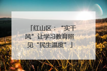 红山区：“实干风”让学习教育照见“民生温度”