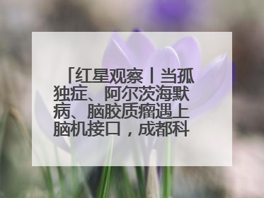 红星观察丨当孤独症、阿尔茨海默病、脑胶质瘤遇上脑机接口，成都科研改变医学图景