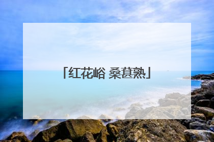 红花峪 桑葚熟