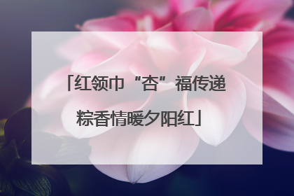 红领巾“杏”福传递 粽香情暖夕阳红