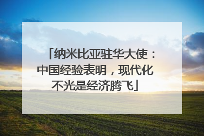 纳米比亚驻华大使：中国经验表明，现代化不光是经济腾飞