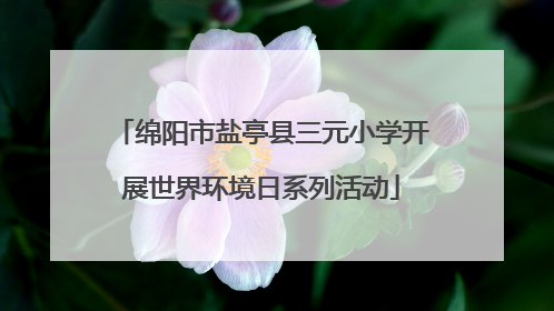 绵阳市盐亭县三元小学开展世界环境日系列活动