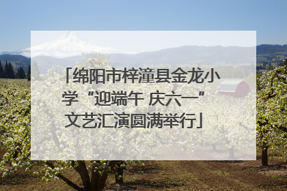 绵阳市梓潼县金龙小学“迎端午 庆六一”文艺汇演圆满举行