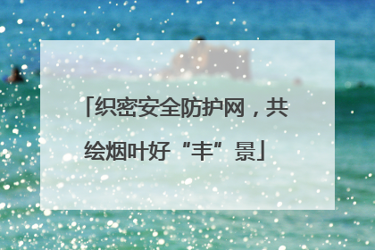 织密安全防护网，共绘烟叶好“丰”景