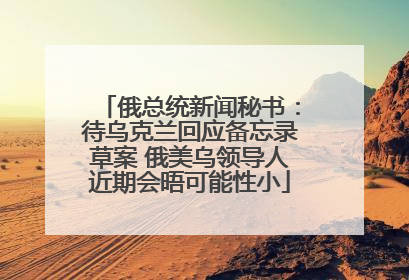 俄总统新闻秘书：待乌克兰回应备忘录草案 俄美乌领导人近期会晤可能性小