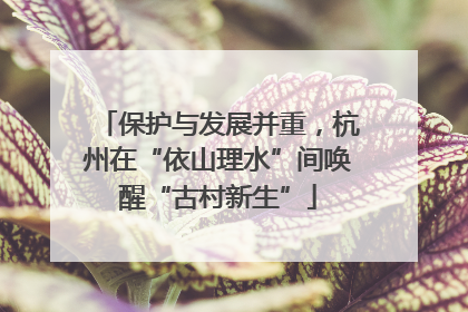 保护与发展并重，杭州在“依山理水”间唤醒“古村新生”