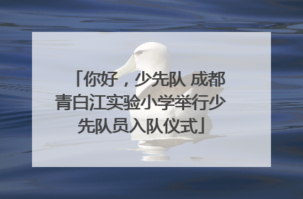 你好，少先队 成都青白江实验小学举行少先队员入队仪式