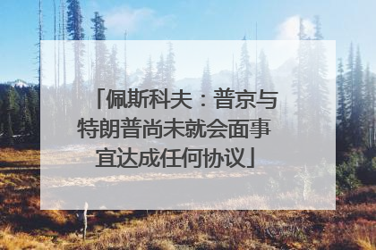 佩斯科夫：普京与特朗普尚未就会面事宜达成任何协议