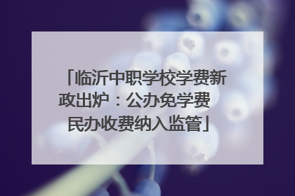 临沂中职学校学费新政出炉：公办免学费 民办收费纳入监管