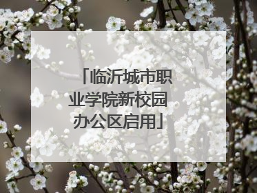 临沂城市职业学院新校园办公区启用