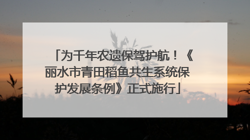 为千年农遗保驾护航！《丽水市青田稻鱼共生系统保护发展条例》正式施行