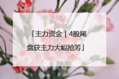 主力资金｜4股尾盘获主力大幅抢筹