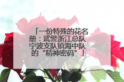 一份特殊的花名册：武警浙江总队宁波支队镇海中队的“精神密码”