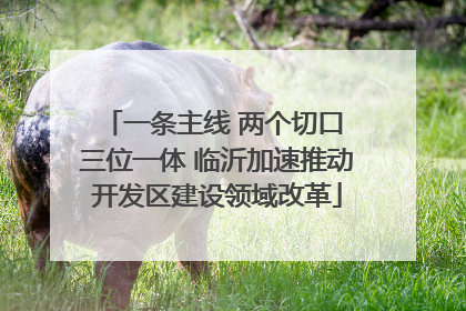 一条主线 两个切口 三位一体 临沂加速推动开发区建设领域改革