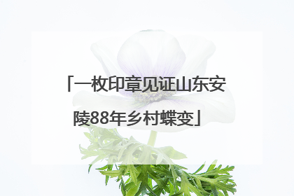 一枚印章见证山东安陵88年乡村蝶变