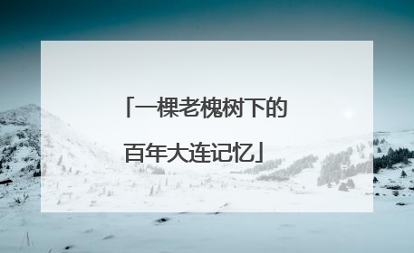 一棵老槐树下的百年大连记忆