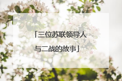 三位苏联领导人与二战的故事