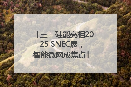 三一硅能亮相2025 SNEC展，智能微网成焦点
