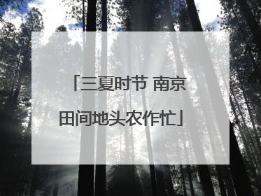 三夏时节 南京田间地头农作忙