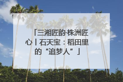 三湘匠韵·株洲匠心丨石天宝：稻田里的“追梦人”