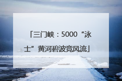 三门峡：5000“泳士”黄河碧波竞风流