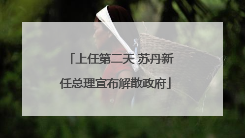 上任第二天 苏丹新任总理宣布解散政府