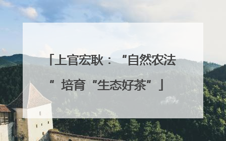上官宏耿：“自然农法”培育“生态好茶”