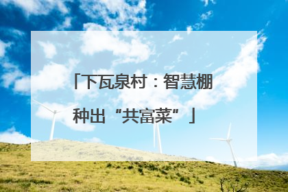 下瓦泉村：智慧棚种出“共富菜”