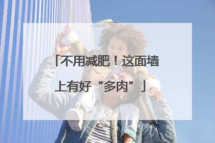 不用减肥！这面墙上有好“多肉”