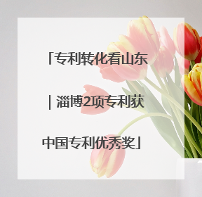 专利转化看山东｜淄博2项专利获中国专利优秀奖
