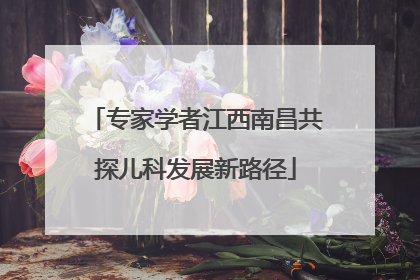 专家学者江西南昌共探儿科发展新路径