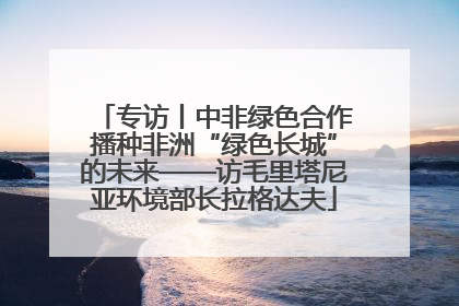 专访丨中非绿色合作播种非洲“绿色长城”的未来——访毛里塔尼亚环境部长拉格达夫