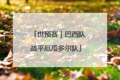 世预赛｜巴西队战平厄瓜多尔队