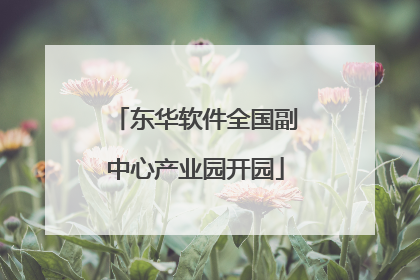 东华软件全国副中心产业园开园
